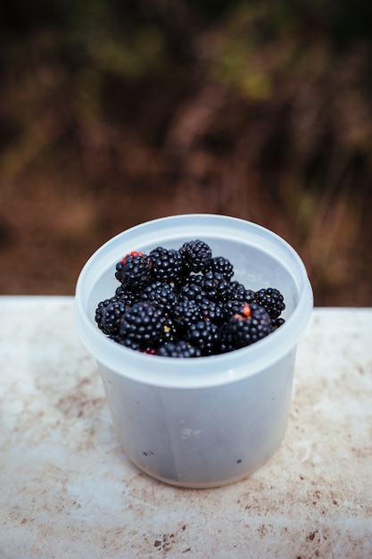 Jarra com frutos silvestres