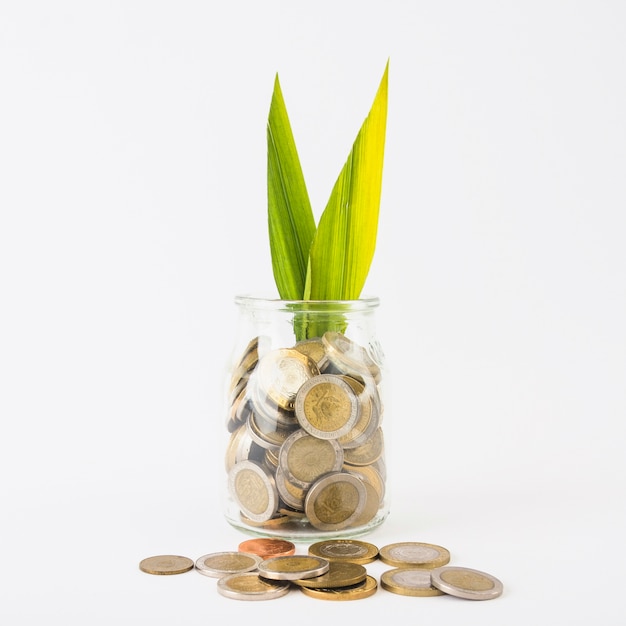 Foto jarra de vidro com moedas e planta