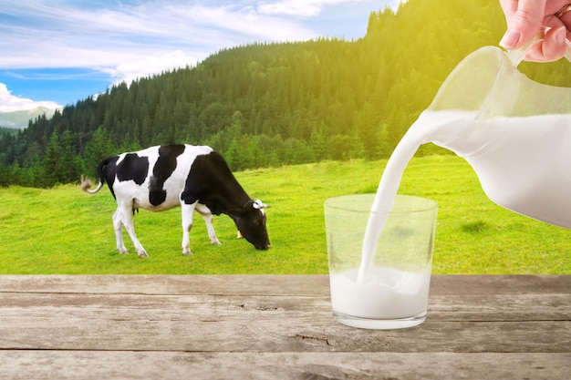 de la jarra de leche vertiendo en el vaso en la mesa con la vaca en las montañas prado en el fondo vaso de leche en la mesa de madera foto con espacio de copia vertiendo leche