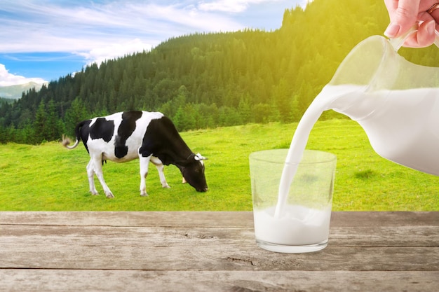 Foto de la jarra de leche vertiendo en el vaso en la mesa con la vaca en las montañas prado en el fondo vaso de leche en la mesa de madera foto con espacio de copia vertiendo leche