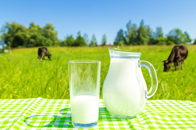 Jarra y vaso de leche sobre un fondo de campo verde y cielo azul. Alimentación saludable.