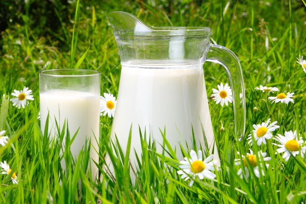 Jarra y vaso de leche sobre hierba verde