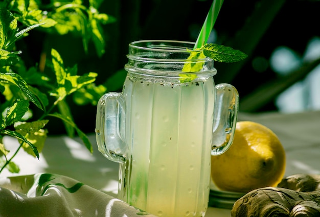 Jarro de suco de limão com gengibre no jardim ao lado de limão