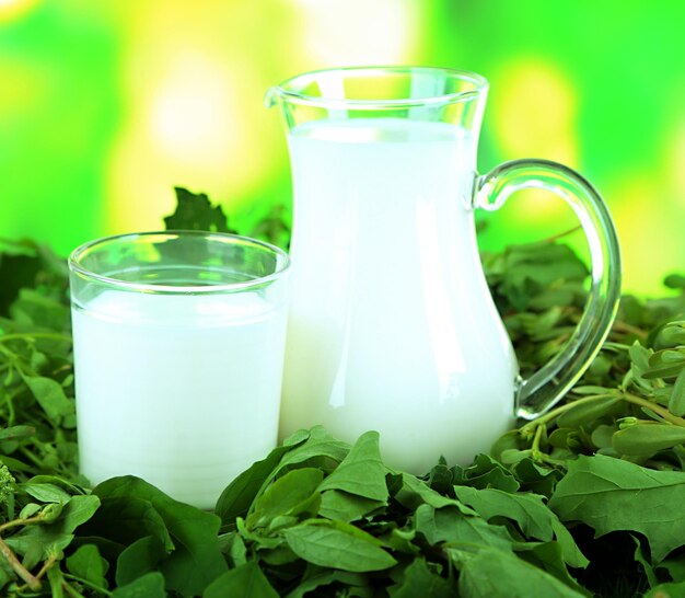 Jarro y vaso de leche en la hierba con fondo de naturaleza