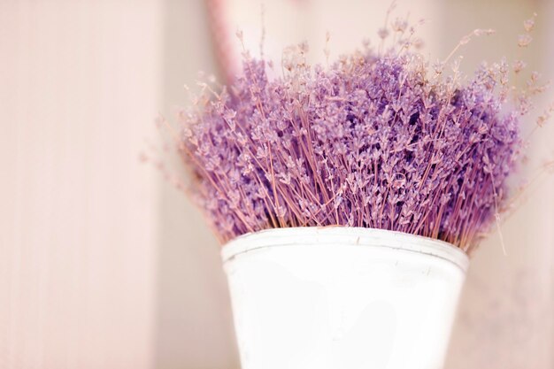 En un jarrón blanco un ramo de lavanda francesa seca