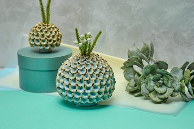 Jarrón de cerámica decorativo. Elegante diseño de interiores para el hogar. Plantas suculentas y cactus en maceta.