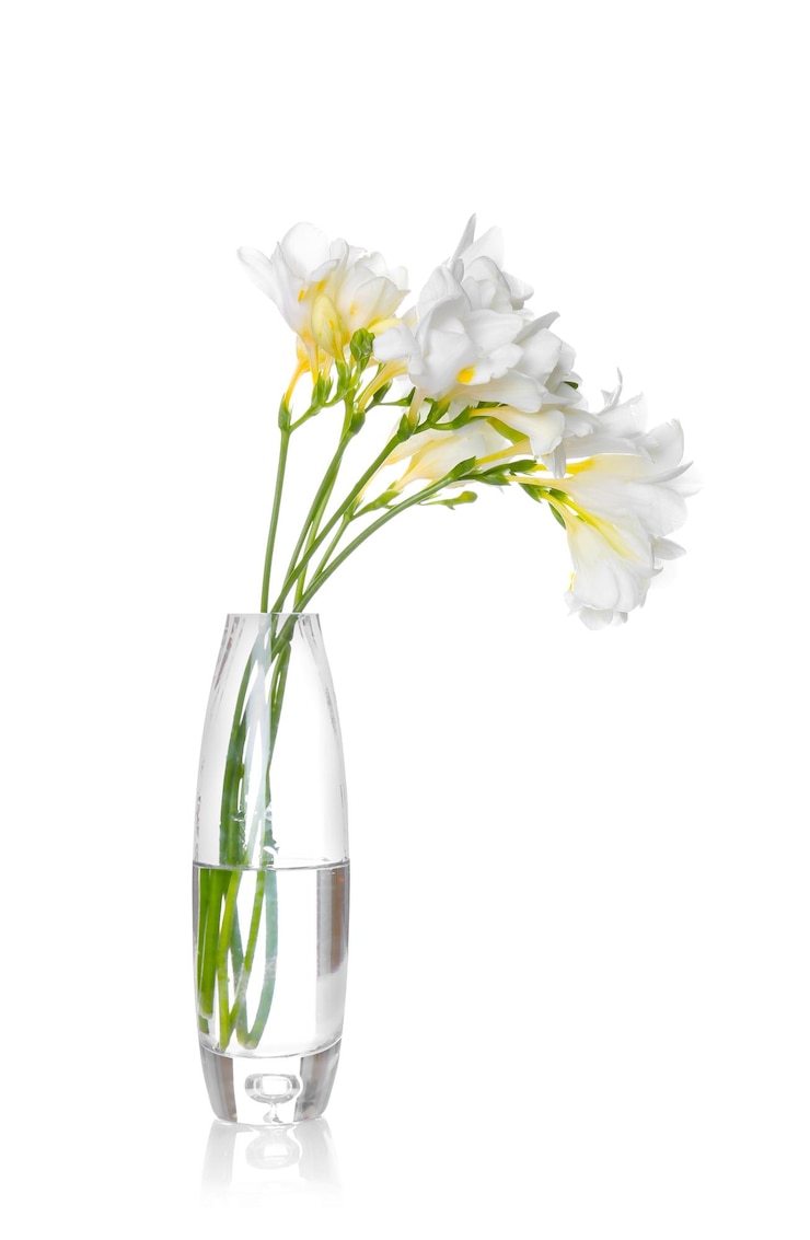 Foto jarrón de cristal con hermosas fresias sobre fondo blanco.
