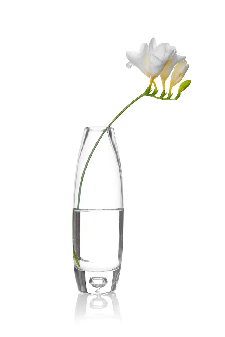 Foto jarrón de cristal con hermosas fresias sobre fondo blanco.