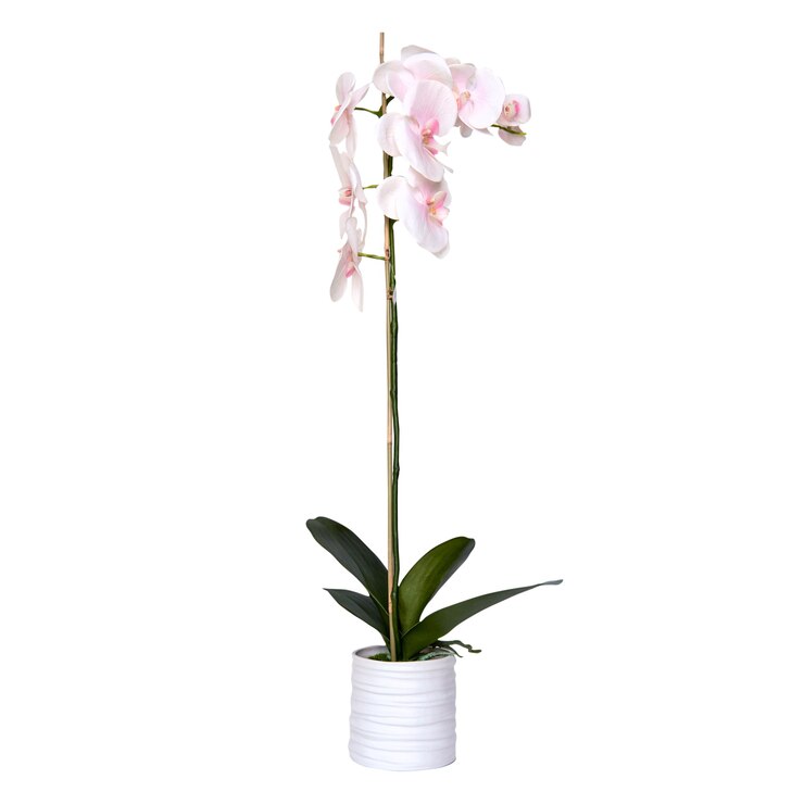 Foto jarrón decorativo de cerámica. elegante diseño de interiores para el hogar