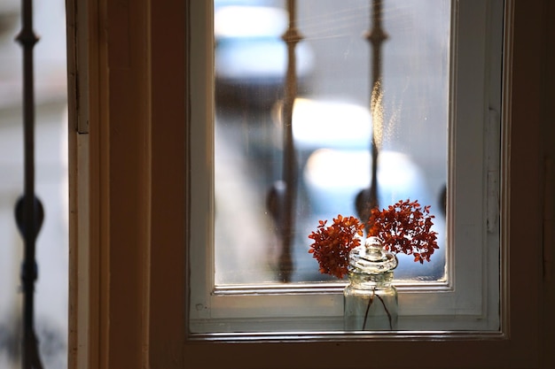 Un jarrón de flores en el alféizar de la ventana en casa