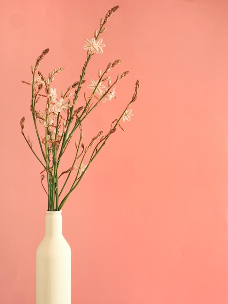 Un jarrón con flores y un fondo rosa.