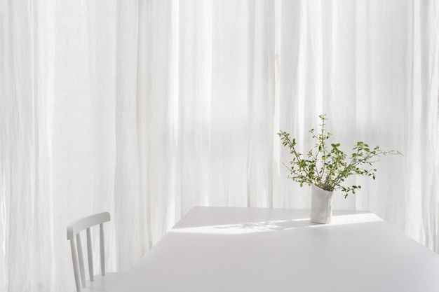 Jarrón con planta verde en sala blanca