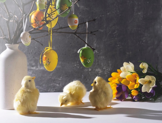 Jarrón con ramas decoradas con huevos de Pascua Lindos pollos amarillos Espacio de decoración de Pascua para un texto