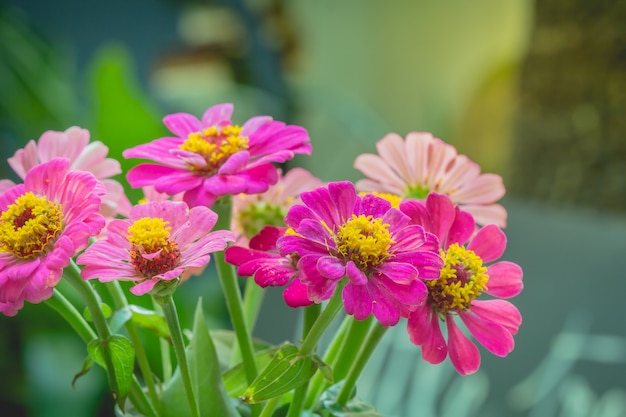 Jarrón de varios tipos de flores en estilo vintage Vida al aire libre