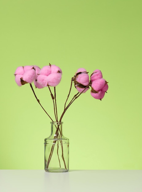 Jarrón de vidrio transparente con un ramo de flores de algodón rosa sobre una mesa blanca, fondo verde