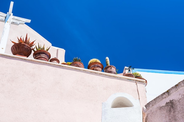 Jarrones con cactus decorativos en el techo. Arquitectura blanca en la isla de Santorini, Grecia.