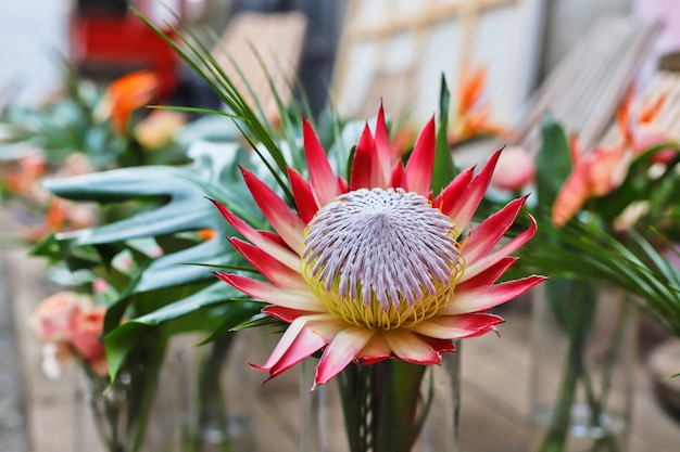 Jarrones de flores exóticas: Strelitzia, protea, anthurium y monstera