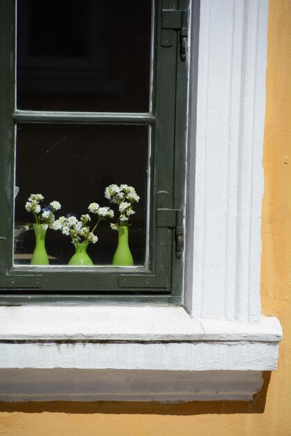 Los jarrones de flores vistos a través de la ventana