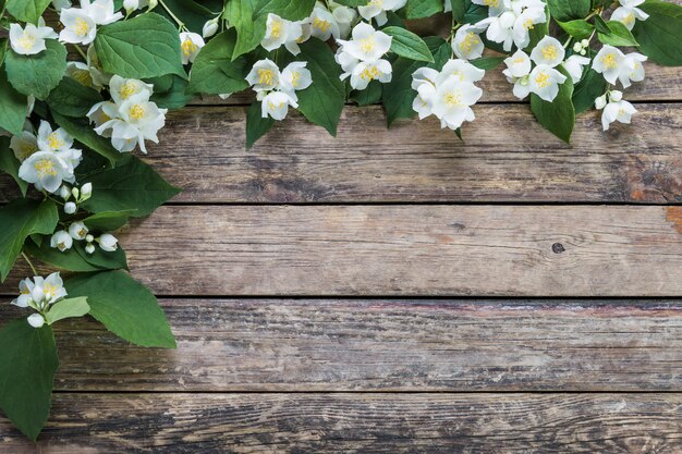 Jasminblüten auf Holztisch