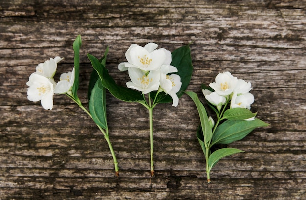 Jasminblüten in rustikal auf dem alten Holztisch