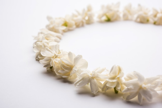 Jasminum sambac oder Mogra Flower in einer kreisförmigen oder rechteckigen Rahmenform auf weißem Hintergrund angeordnet, selektiver Fokus