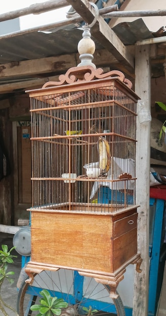 Foto jaula de pájaros colgada tomada desde un ángulo cercano