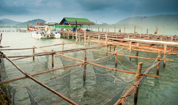 Jaulas de peces en la vista superior; jaulas de peces en el río, Tailandia