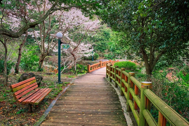 Foto jeju olle trail, ilha de jeju, coréia do sul