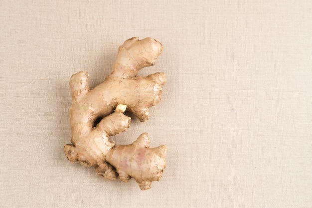 Jengibre fresco Zingiber officinale o Jahe una planta cuyos rizomas se utilizan a menudo como especias