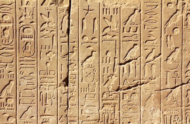 Jeroglíficos del antiguo egipto en la pared