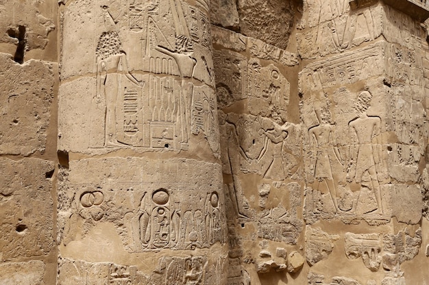 Jeroglíficos egipcios en el Templo de Luxor Luxor Egipto