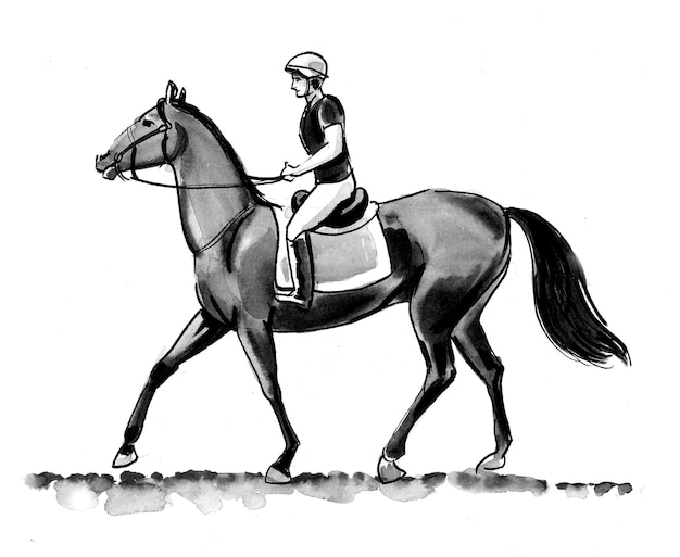 Jinete femenino a caballo. Dibujo a tinta en blanco y negro