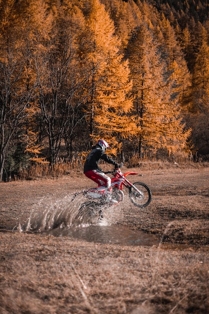 Jinete en una motocicleta en el bosque en un día soleado