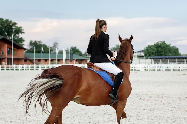 Jinete mujer elegante montando su caballo afuera