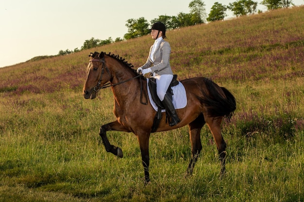 Jinete de la mujer joven con su caballo en la luz del atardecer por la noche. Fotografía al aire libre en el estado de ánimo de estilo de vida.