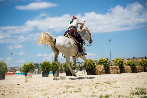 Jinete otomano montando en su caballo