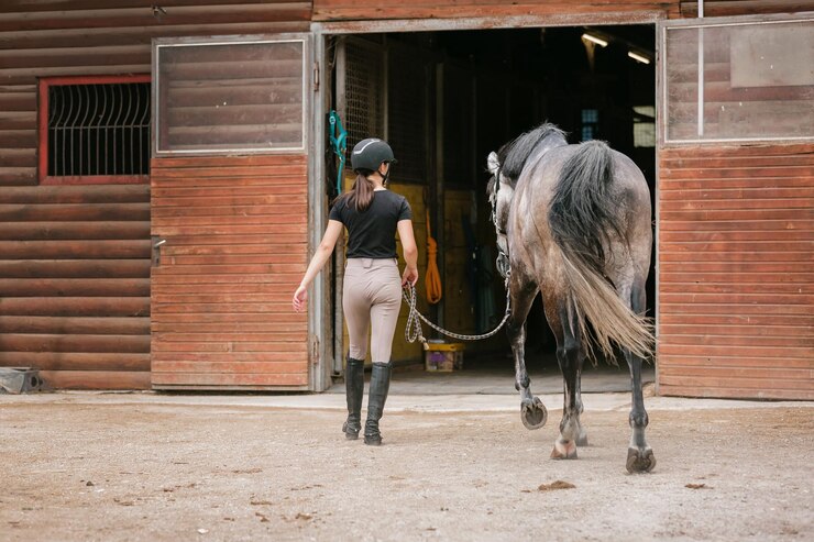 Foto un jinete con ropa ecuestre sosteniendo las riendas y llevando al caballo a los establos