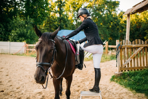 Jinete y semental marrón, paseos a caballo. Deporte ecuestre, mujer joven y hermoso caballo