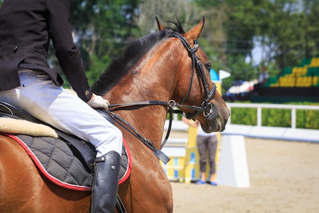 Foto jinete se sienta en un caballo