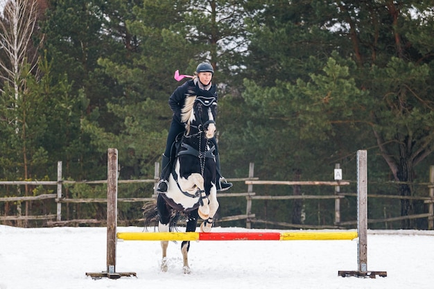 Un jinete sobre un caballo salta sobre la barrera en la arena en invierno Una chica vestida de negro se sienta en un caballo castrado Fondo de abetos para la inscripción