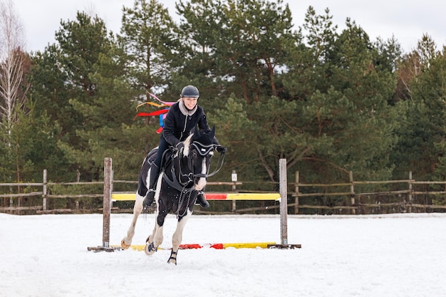 Un jinete sobre un caballo salta sobre la barrera en la arena en invierno Una chica vestida de negro se sienta en un caballo castrado Fondo de abetos para la inscripción