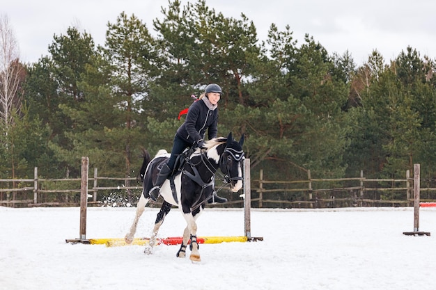 Un jinete sobre un caballo salta sobre la barrera en la arena en invierno Una chica vestida de negro se sienta en un caballo castrado Fondo de abetos para la inscripción