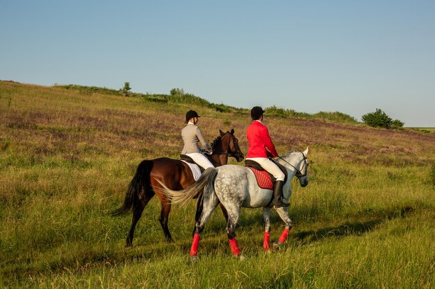 Jinetes a caballo. Dos mujeres atractivas montan a caballo en un prado verde. Equitación. Las carreras de caballos. Jinete sobre un caballo.