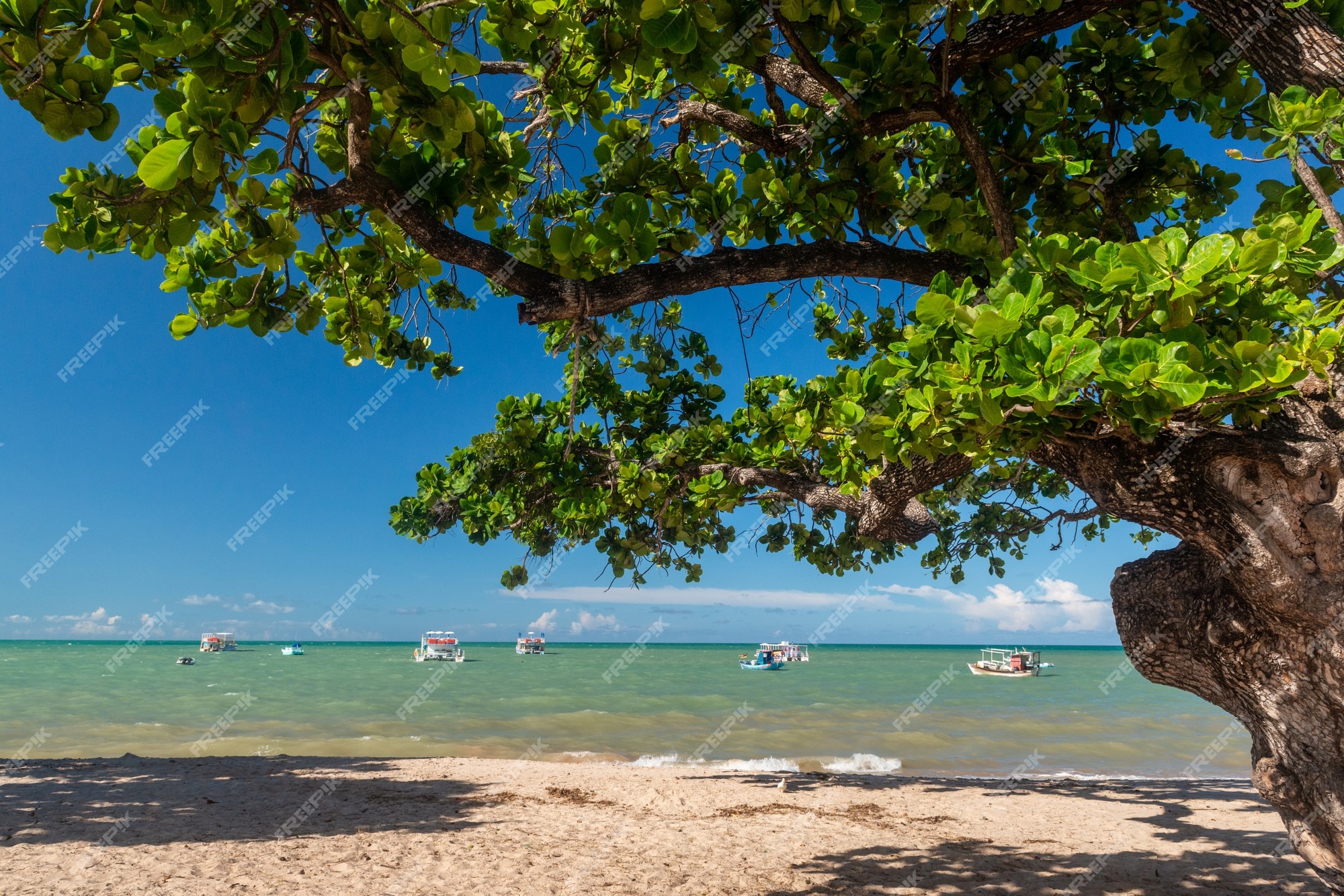 Buen tiempo, playa y ajedrez en Caiobá (Brazil)