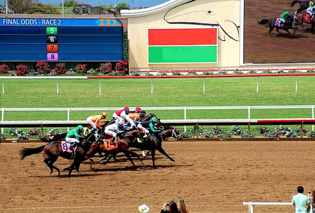 Jockey mit Pferden während des Rennens