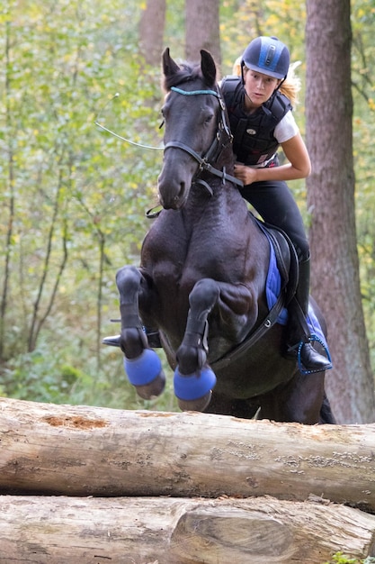 Foto jockey montando caballo contra árboles en el bosque durante el entrenamiento