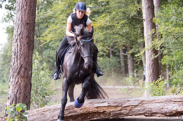 Jockey montando cavalo contra árvores na floresta durante o treinamento
