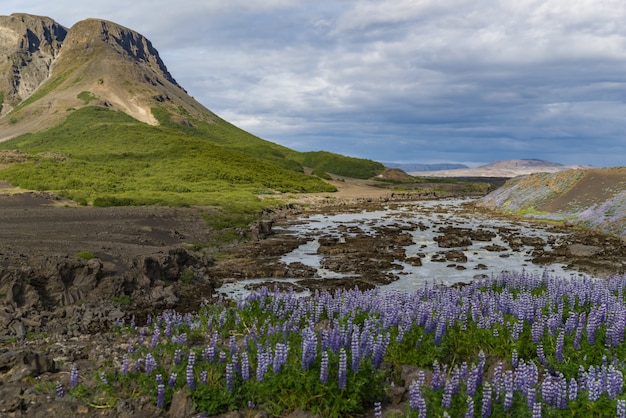 Þjófafoss Wasserfall während des Sommers in Island