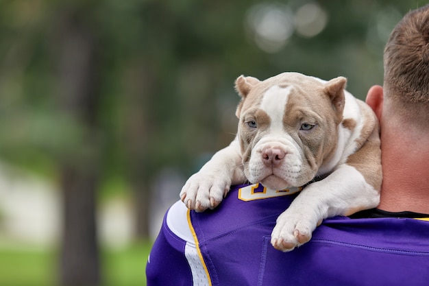 Jogador de futebol americano com um cachorro em um parque. Copyspace, bandeira de esportes. futebol americano, esporte para a proteção de animais.