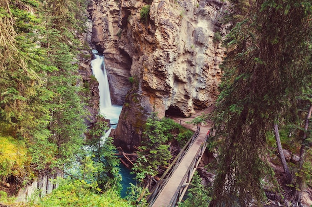 Johnston Canyon en Banff NP, Canadá. Hermosos paisajes naturales en la Columbia Británica. Temporada de verano.